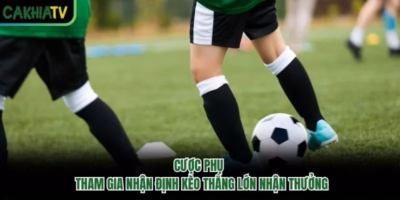 Cược Phụ - Tham Gia Nhận Định Kèo Thắng Lớn Nhận Thưởng