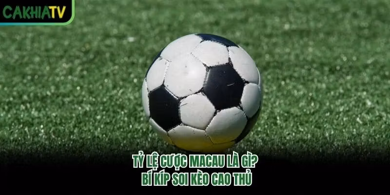 Tỷ Lệ Cược Macau Là Gì? Bí Kíp Soi Kèo Cao Thủ